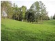 874 McIntosh Creek Road, Calico Creek QLD 4570