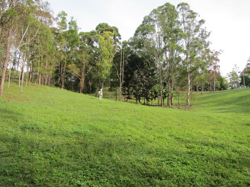 874 McIntosh Creek Road, Calico Creek QLD 4570