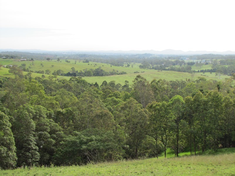 874 McIntosh Creek Road, Calico Creek QLD 4570