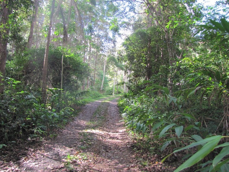 380 Little Bella Creek Road, Bella Creek QLD 4570