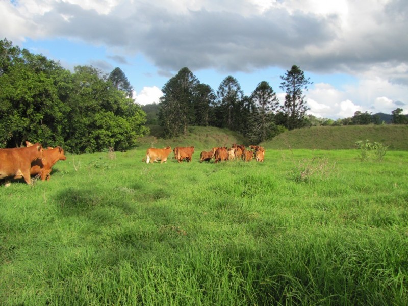 Lots 3 and 4 Imbil Brooloo Road, Imbil QLD 4570