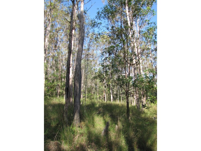 600 Lowe Road, Bollier QLD 4570