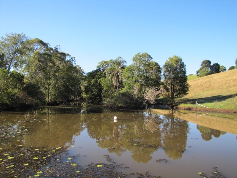 65 Diamondfield Road, Amamoor QLD 4570