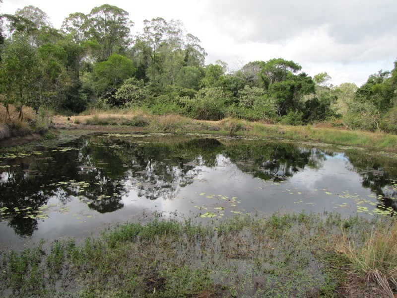 8 Bluff Road, off Wilcox Rd, Kenilworth QLD 4574