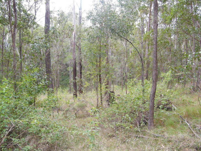 Imbil QLD 4570