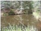 Cooroy QLD 4563