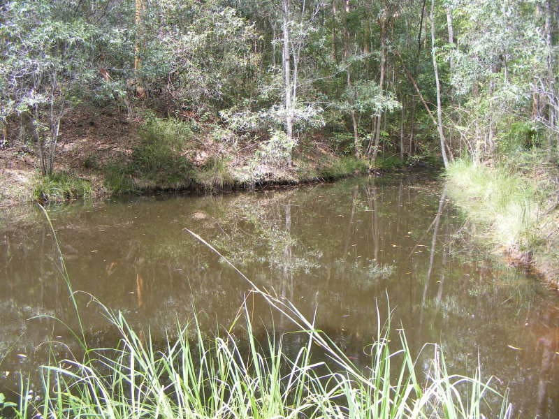 Cooroy QLD 4563