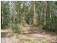 Cooroy QLD 4563