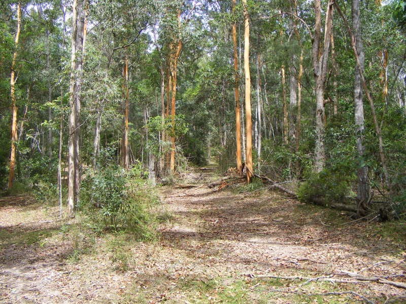 Cooroy QLD 4563