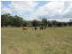 155 Mooloo Road, Mooloo QLD 4570