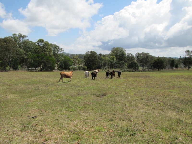 155 Mooloo Road, Mooloo QLD 4570