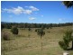 Kandanga QLD 4570