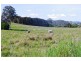 Amamoor QLD 4570