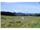 Amamoor QLD 4570