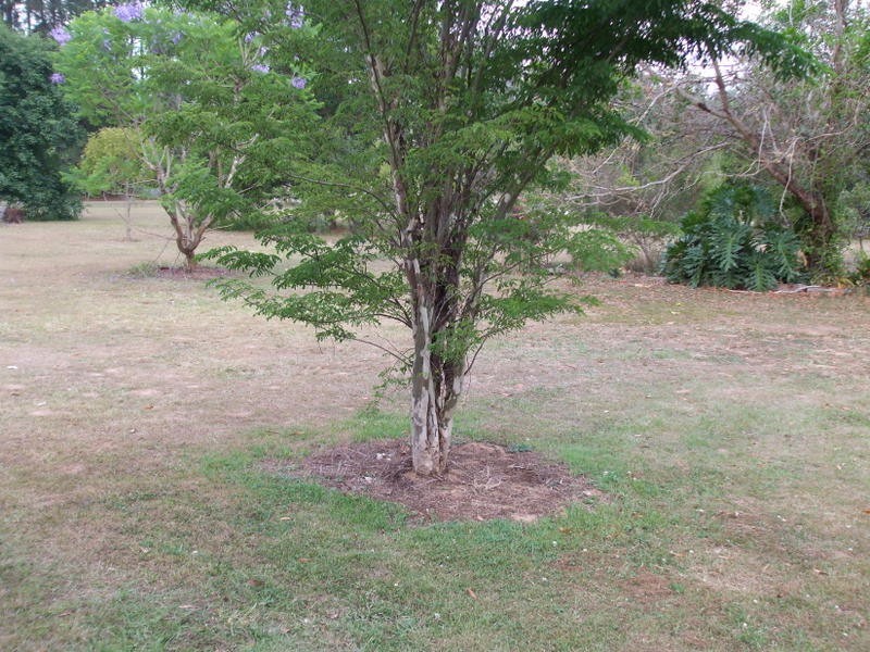 2 Bryant Rd, Bollier QLD 4570