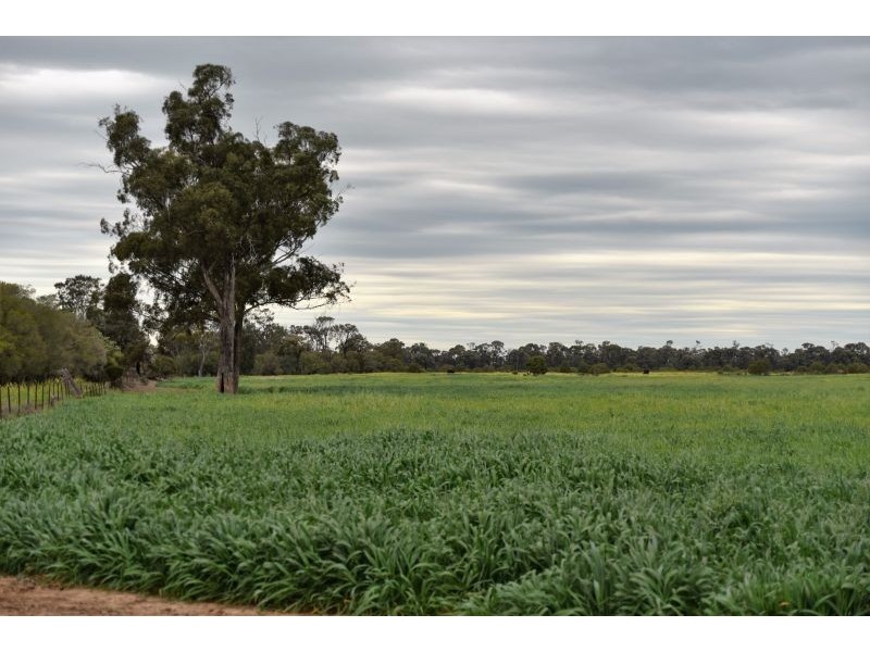 Goondiwindi QLD 4390