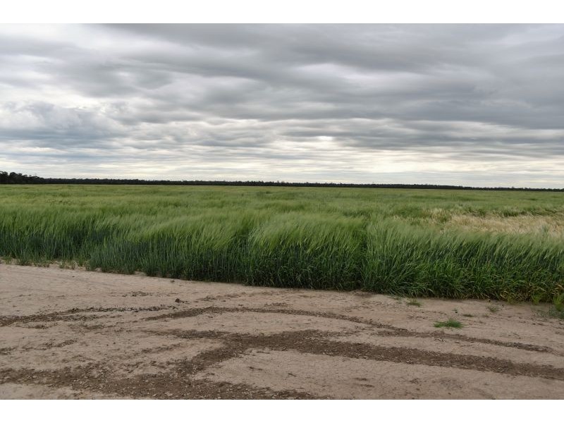 Goondiwindi QLD 4390