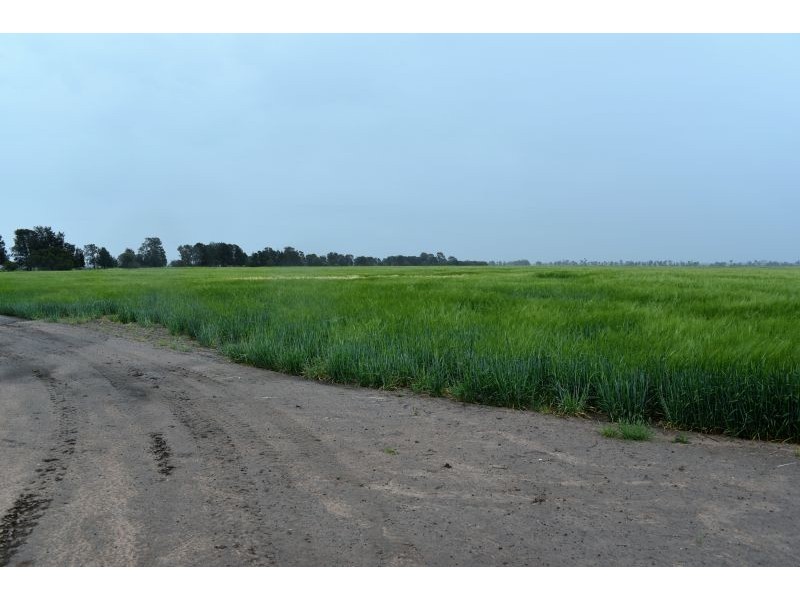 Goondiwindi QLD 4390