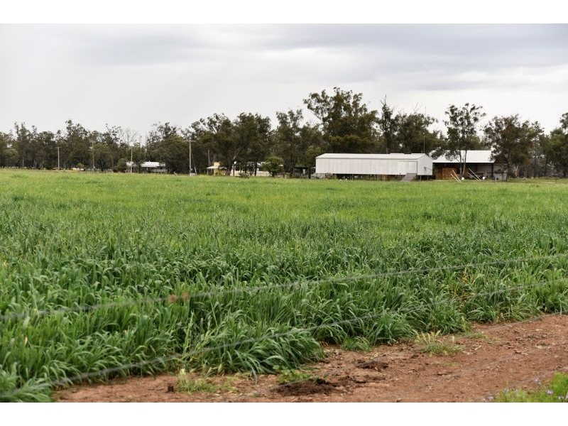 Goondiwindi QLD 4390