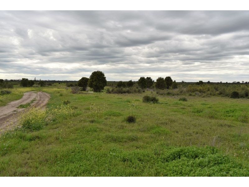 Goondiwindi QLD 4390