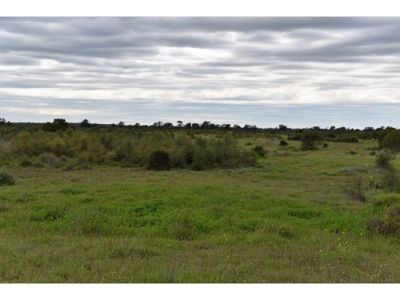 Goondiwindi QLD 4390