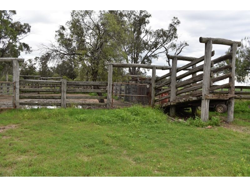 Goondiwindi QLD 4390