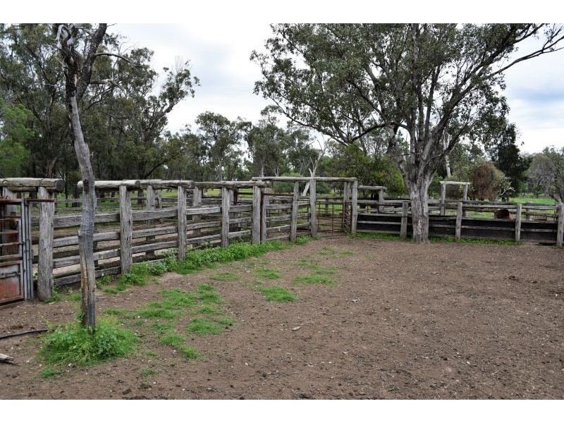 Goondiwindi QLD 4390