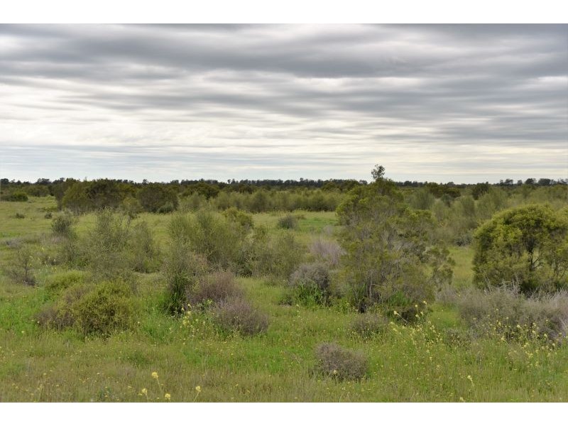 Goondiwindi QLD 4390