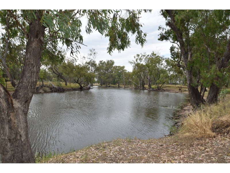 Goondiwindi QLD 4390