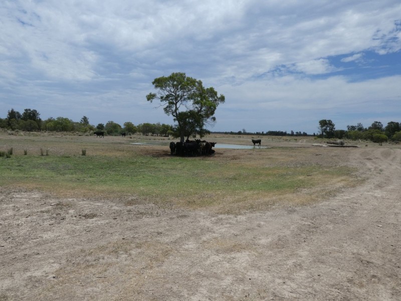 Goondiwindi QLD 4390