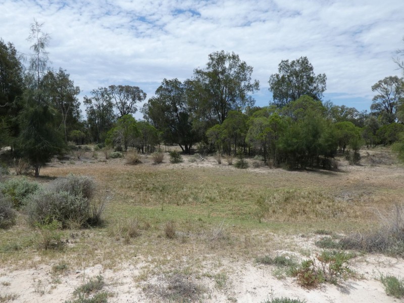 Goondiwindi QLD 4390