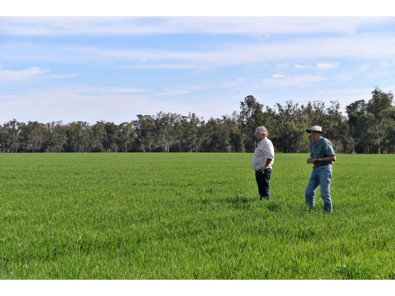 5395 Texas-Yelarbon Road Glenarbon via, Goondiwindi QLD 4390