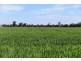 5395 Texas-Yelarbon Rd,Glenarbon via, Goondiwindi QLD 4390