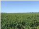 5395 Texas-Yelarbon Rd,Glenarbon via, Goondiwindi QLD 4390