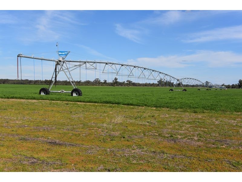 5395 Texas-Yelarbon Rd,Glenarbon via, Goondiwindi QLD 4390