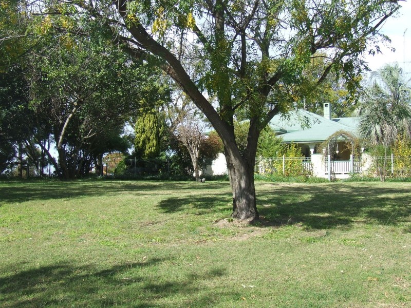 5395 Texas-Yelarbon Rd,Glenarbon via, Goondiwindi QLD 4390