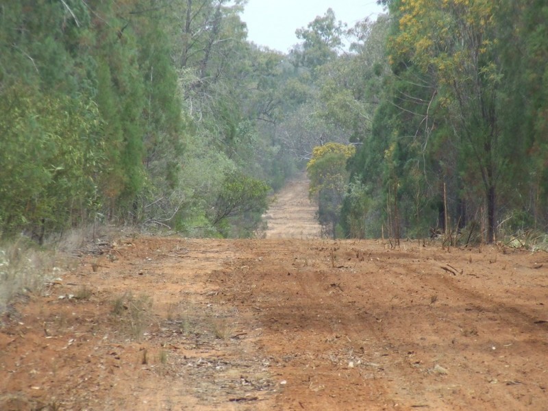 5395 Texas-Yelarbon Rd,Glenarbon via, Goondiwindi QLD 4390