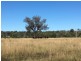 00 Bruxner Way ,Texas, via, Goondiwindi QLD 4390