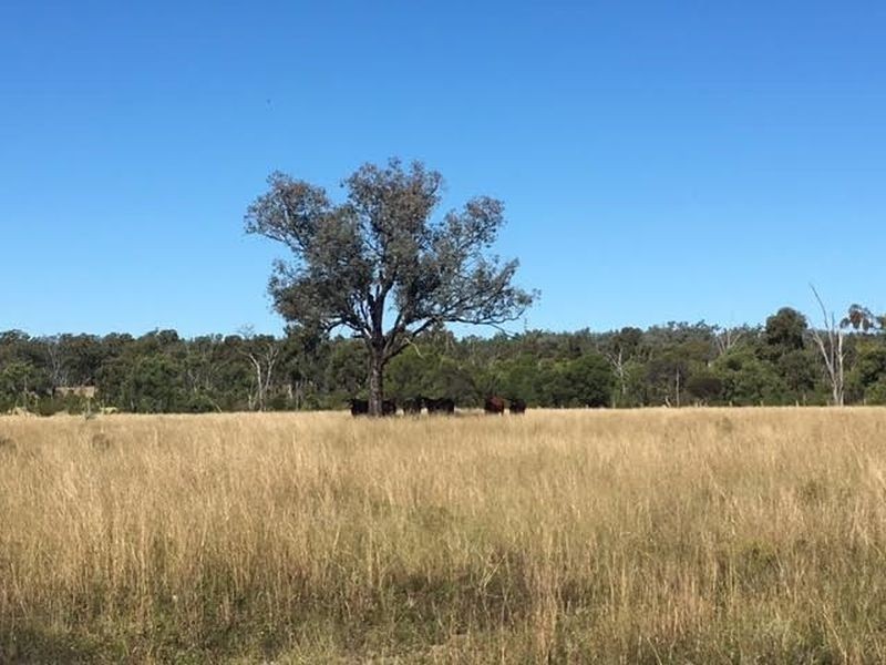 00 Bruxner Way ,Texas, via, Goondiwindi QLD 4390