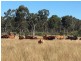 00 Bruxner Way ,Texas, via, Goondiwindi QLD 4390