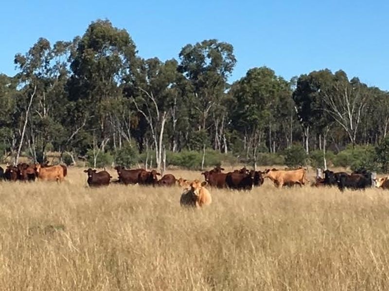 00 Bruxner Way ,Texas, via, Goondiwindi QLD 4390