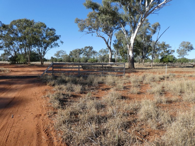 Dirranbandi QLD 4486