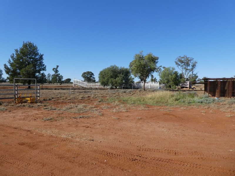 Dirranbandi QLD 4486