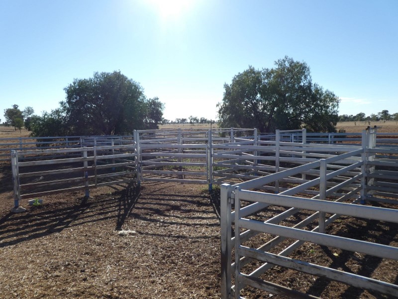 Dirranbandi QLD 4486