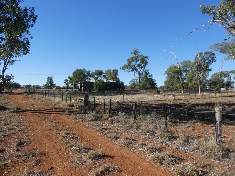 Dirranbandi QLD 4486