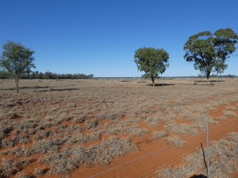 Dirranbandi QLD 4486