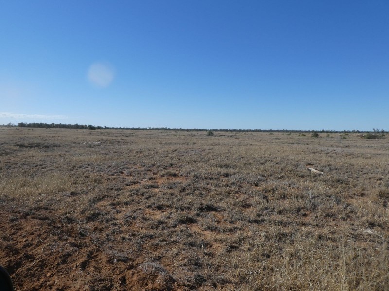 Dirranbandi QLD 4486