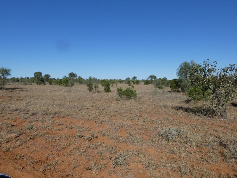 Dirranbandi QLD 4486