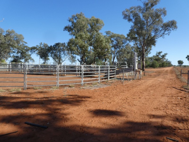 Dirranbandi QLD 4486