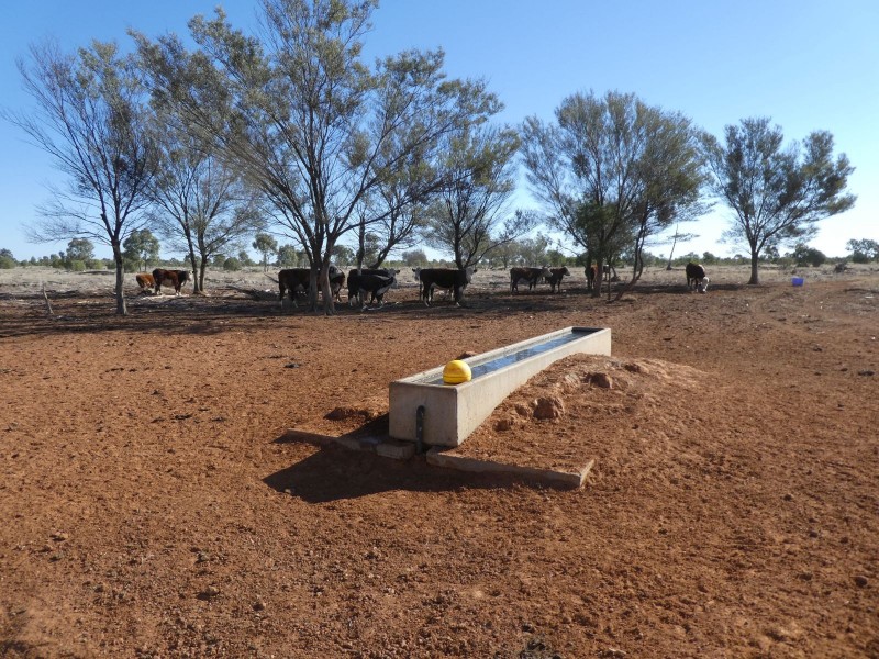 Dirranbandi QLD 4486